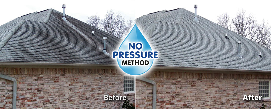 No Pressure Roof Stain Cleaning